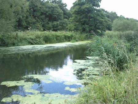 The Stour Valley Way: From Sturminster Newton to Fiddleford Mill.